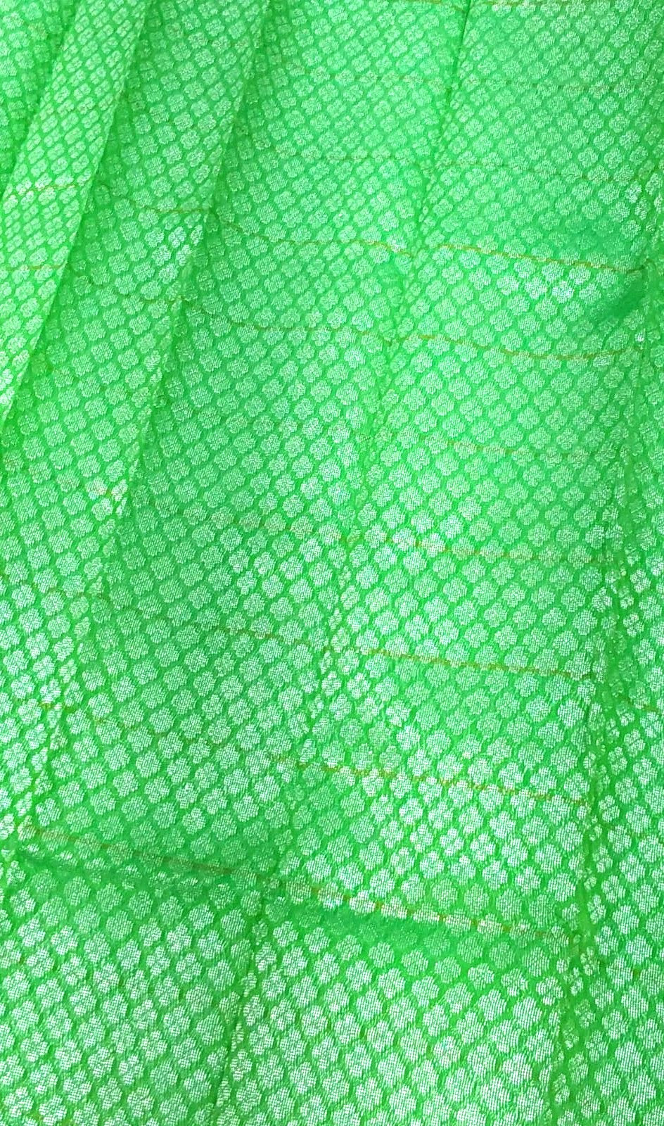 Kanchipuram Silk Cotton Sarees in Parrot Green with contrast temple border